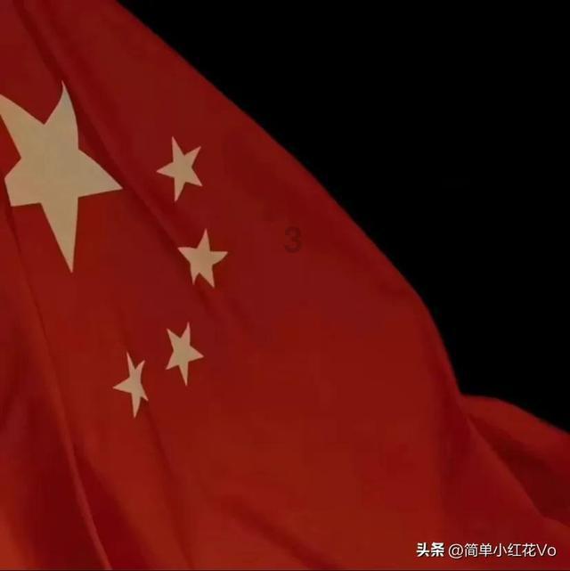 金毛夫妇上演秀恩爱 这狗粮吃得我心服口服